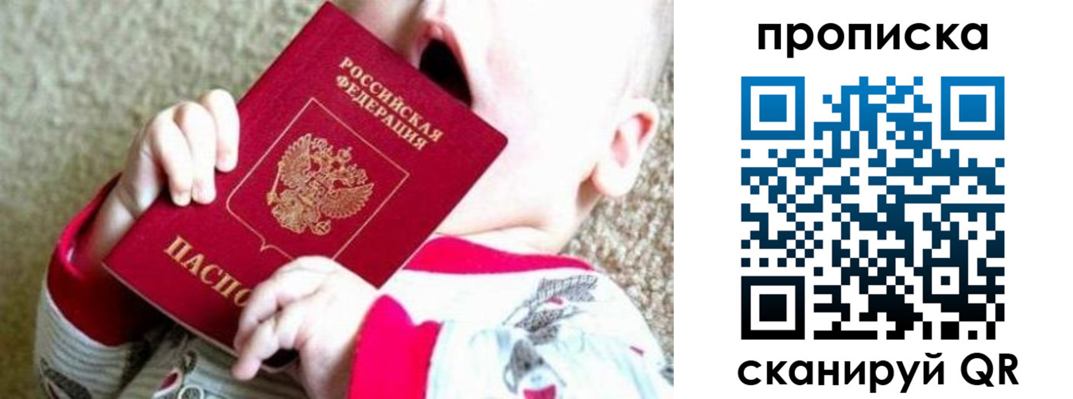 прописка законно в Зверево